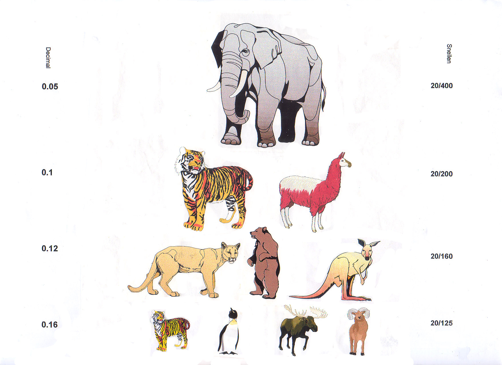 Download Charts with Animal Eye Chart Printable