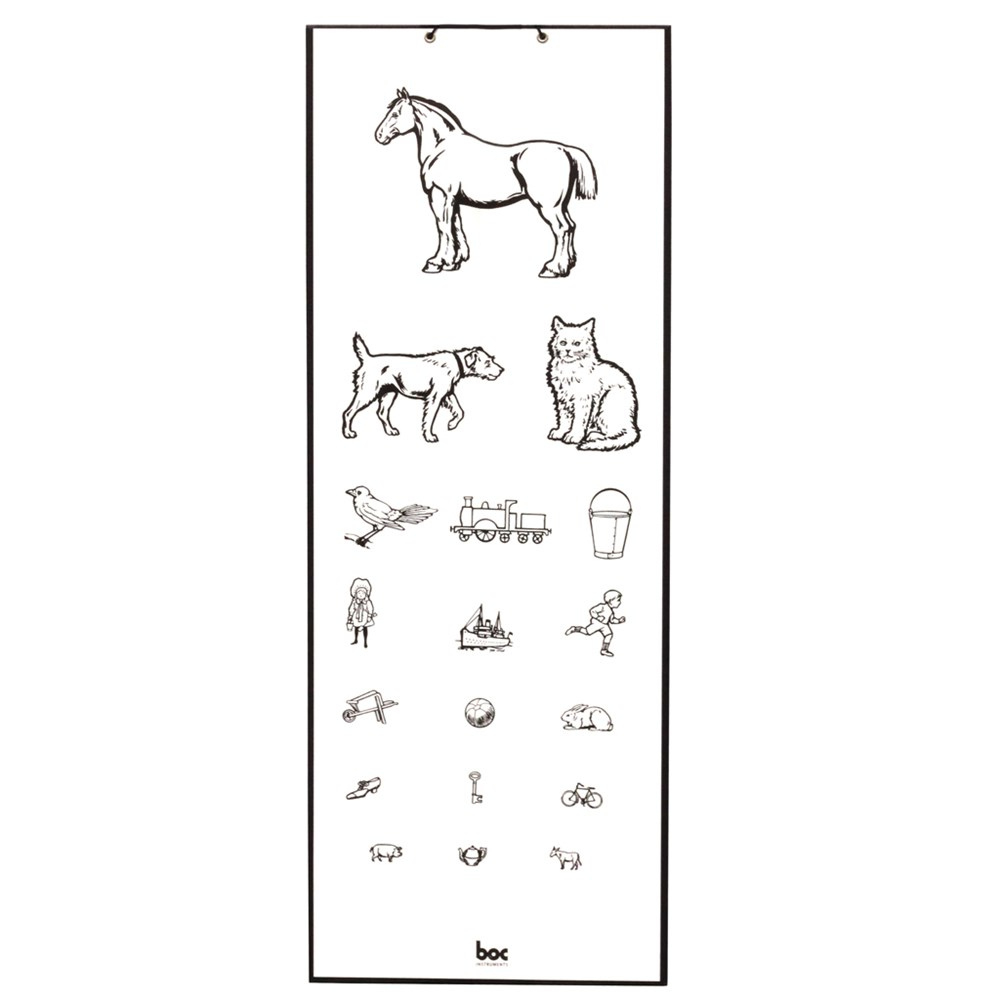 Eye Chart Child Standard Animal 6 Metres - Sss Australia - Sss with Children&amp;amp;#039;s Snellen Eye Chart Printable