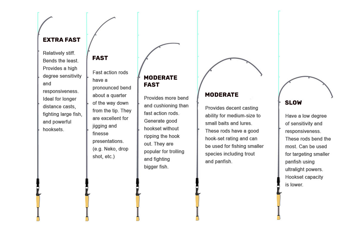 Fishing Rod Action, Power And Length Charts throughout Printable Fishing Rod Eye Size Chart