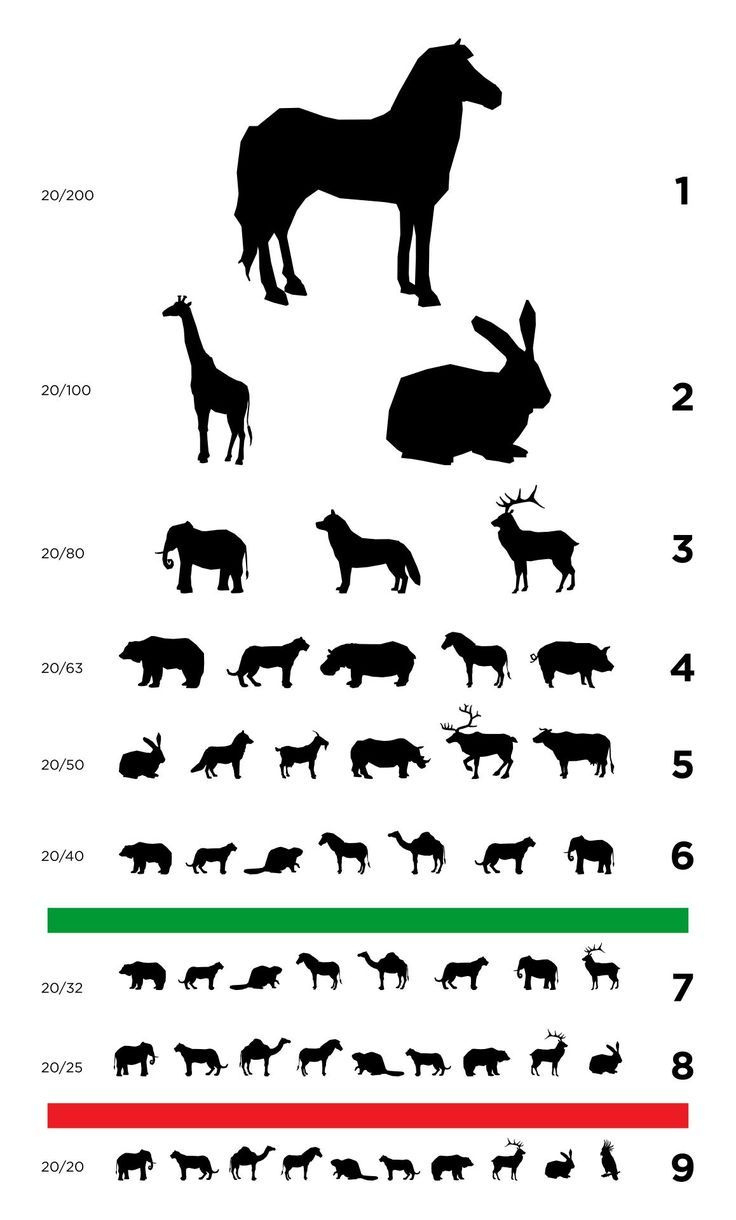 Printable Preschool Eye Charts intended for Animal Eye Chart Printable
